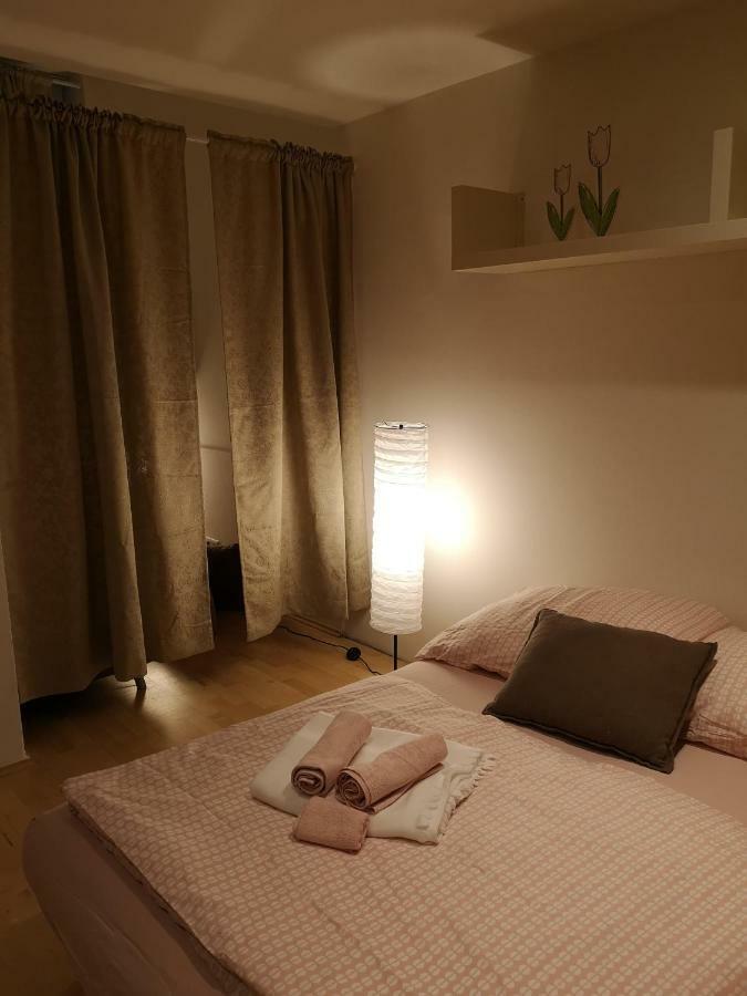 Low Budget Flat Rossau *